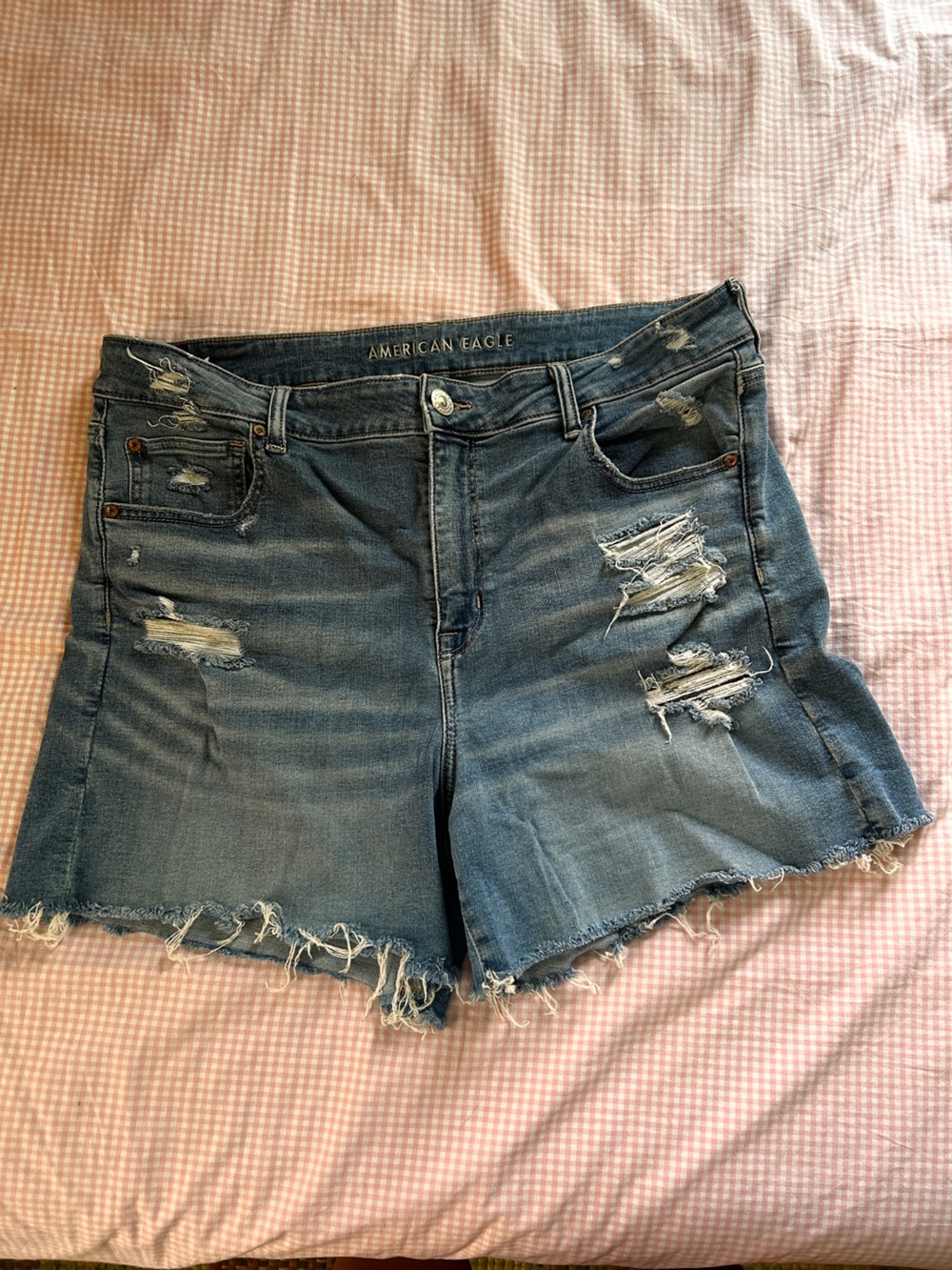 American Eagle Outfitters Distressed Denim Shorts - Medium Wash Blue